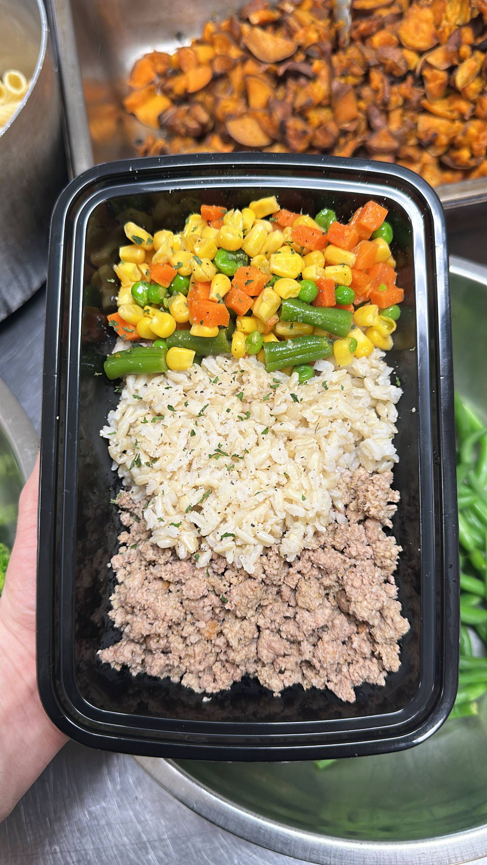 Turkey + Rice ( Brown ) + Mixed Veg