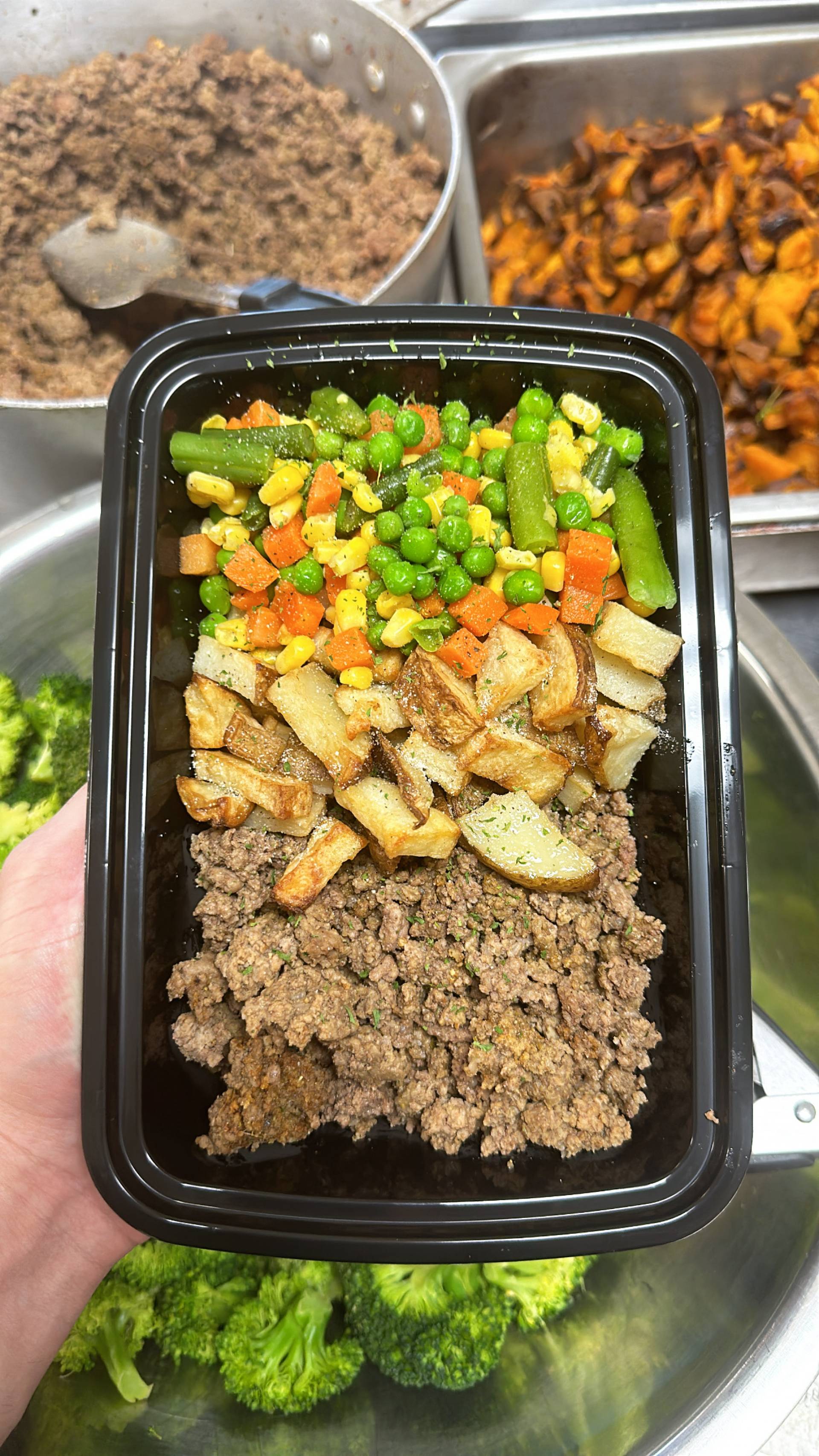 Beef + White Potato + Mixed Veg