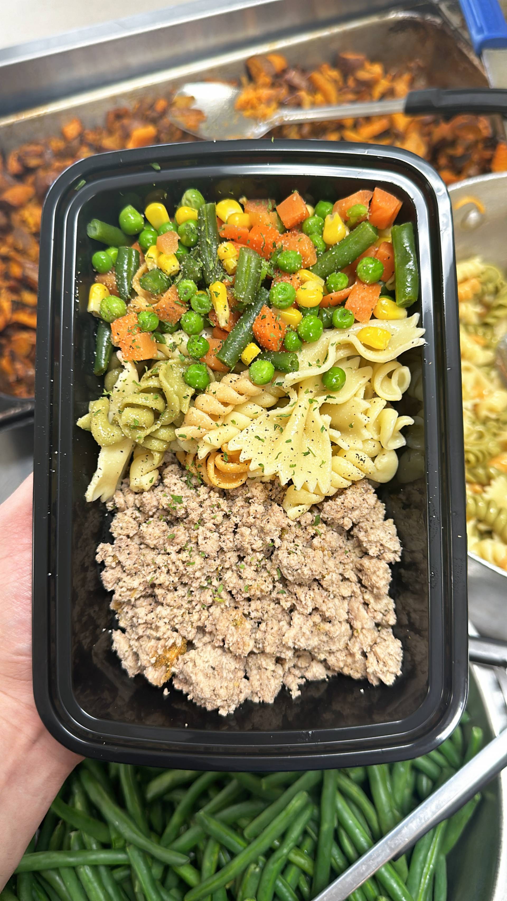 Turkey + Pasta + Mixed Veg