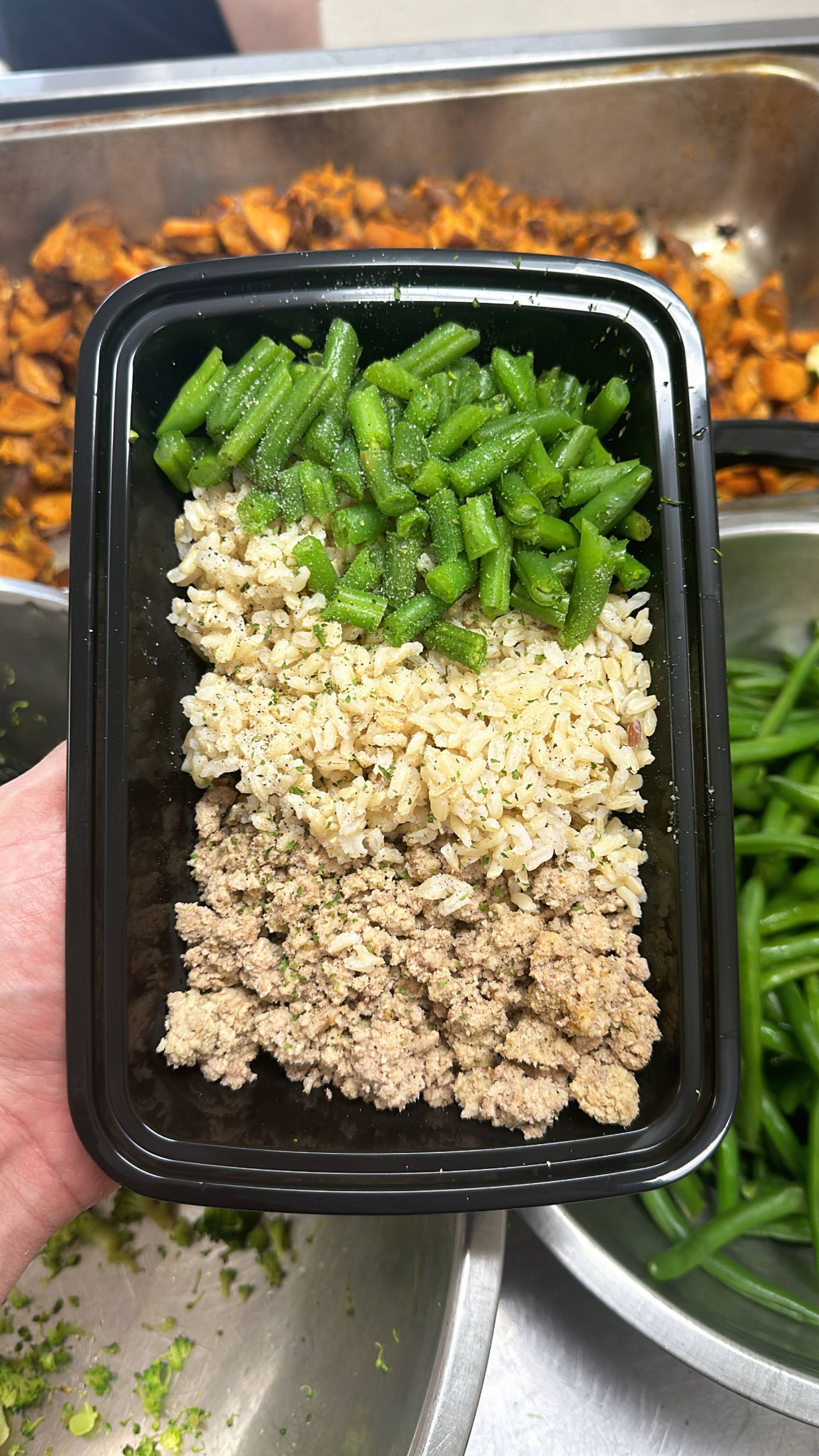 Turkey + Rice ( Brown ) + Green Beans