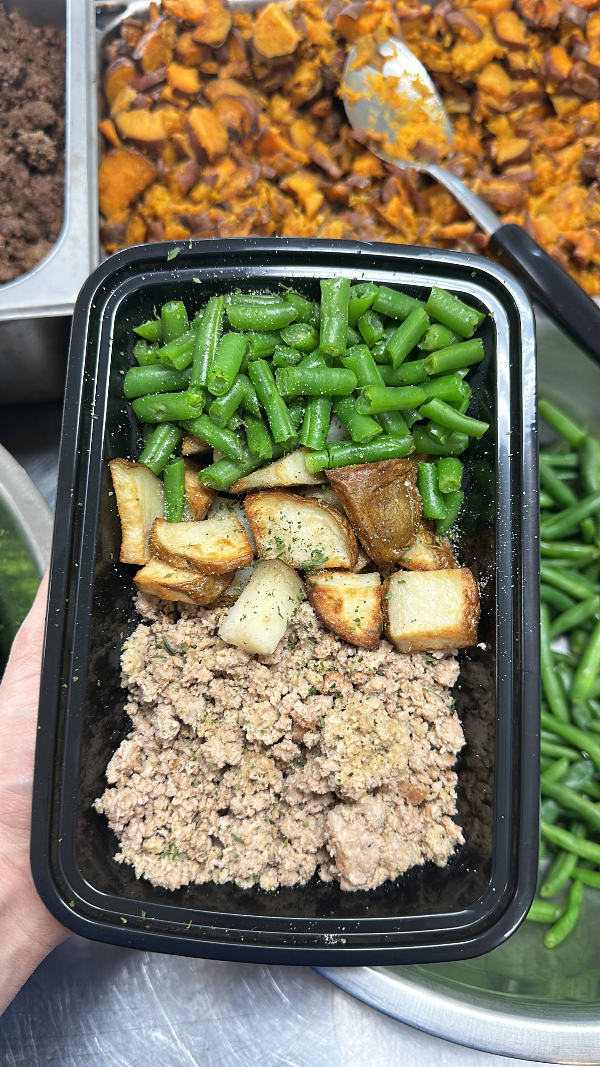 Turkey + White Potato + Green Beans