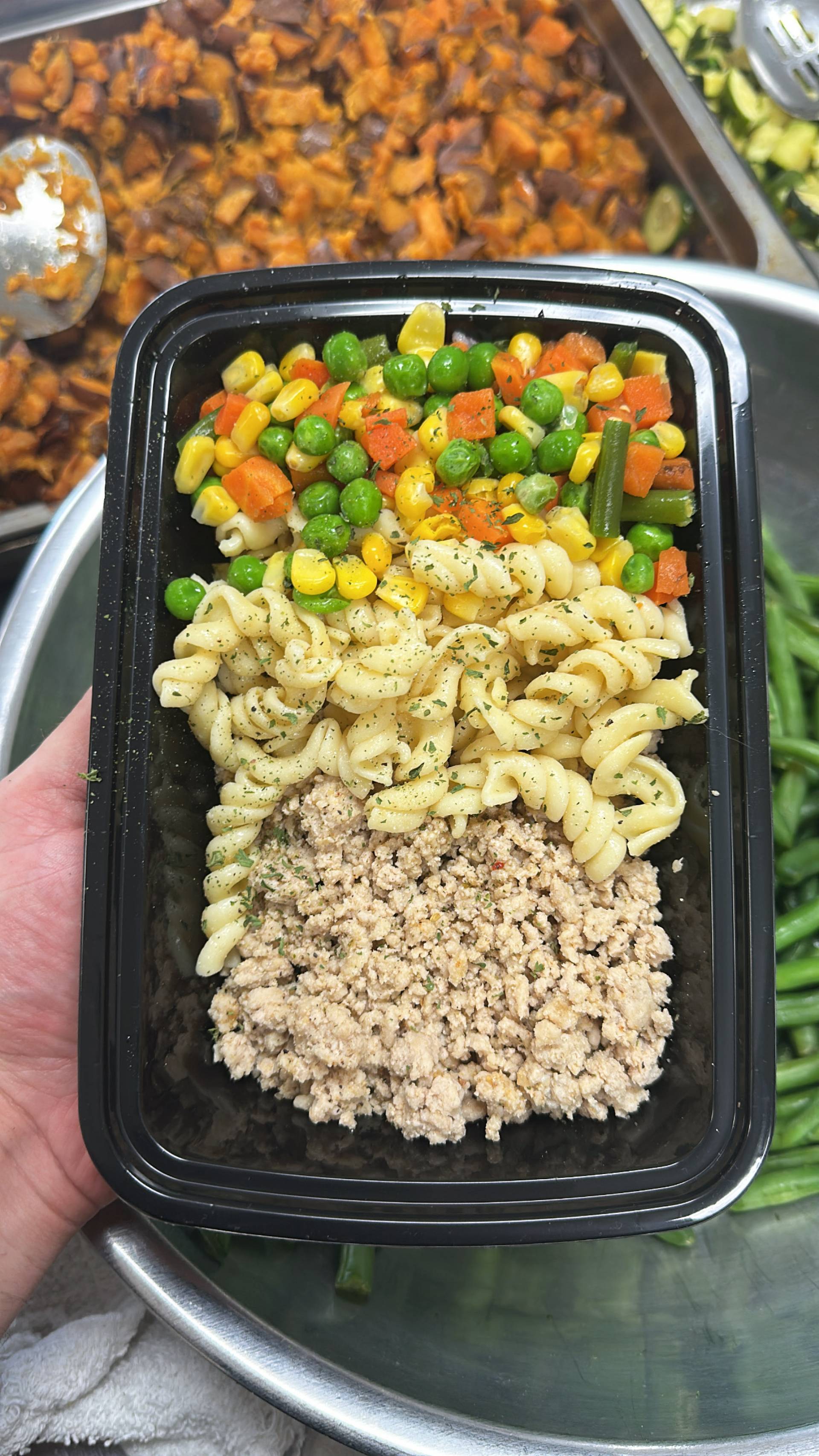 Ground Chicken + Pasta + Mixed Veg