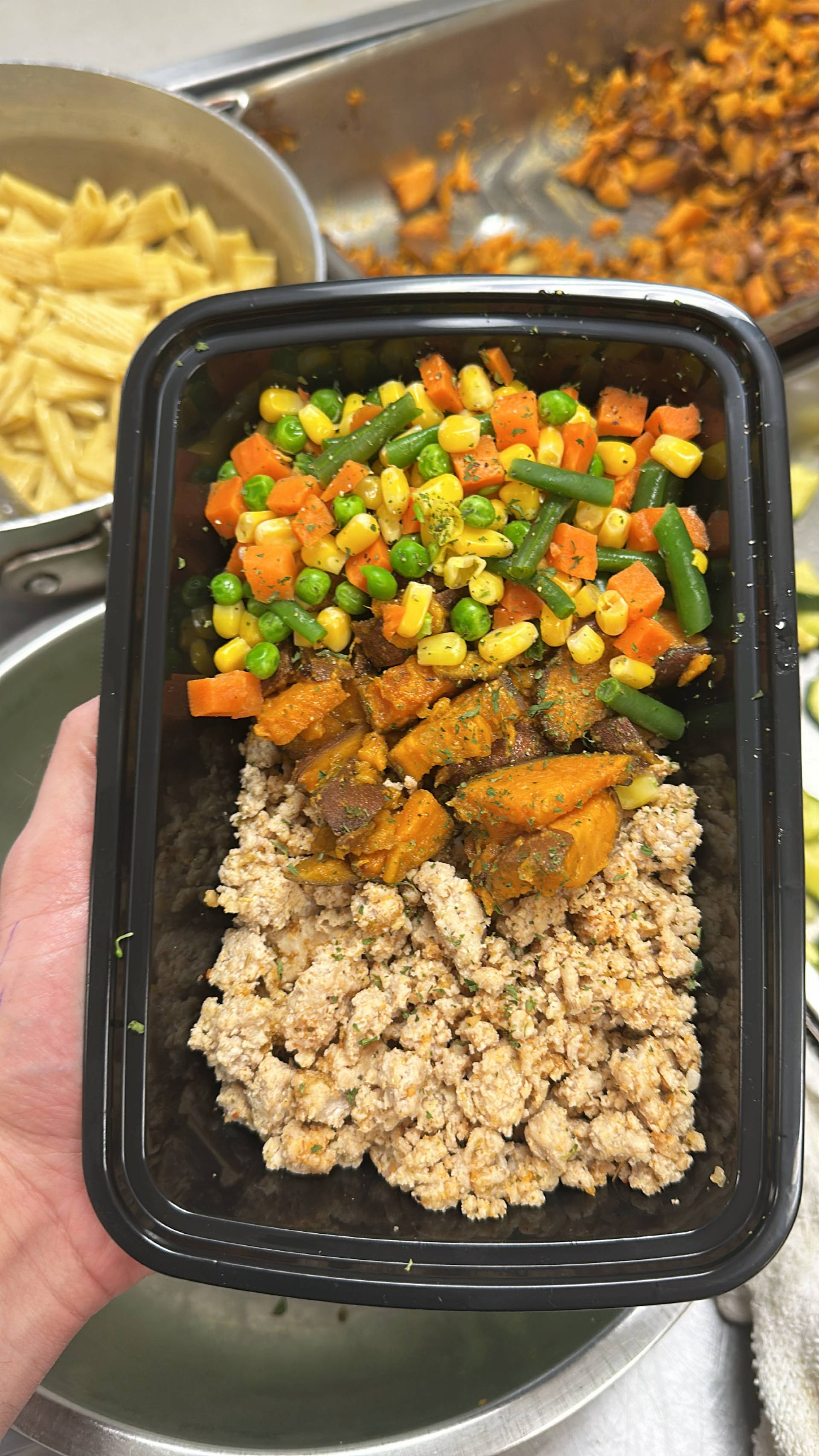 Ground Chicken + Sweet Potato + Mixed Veg