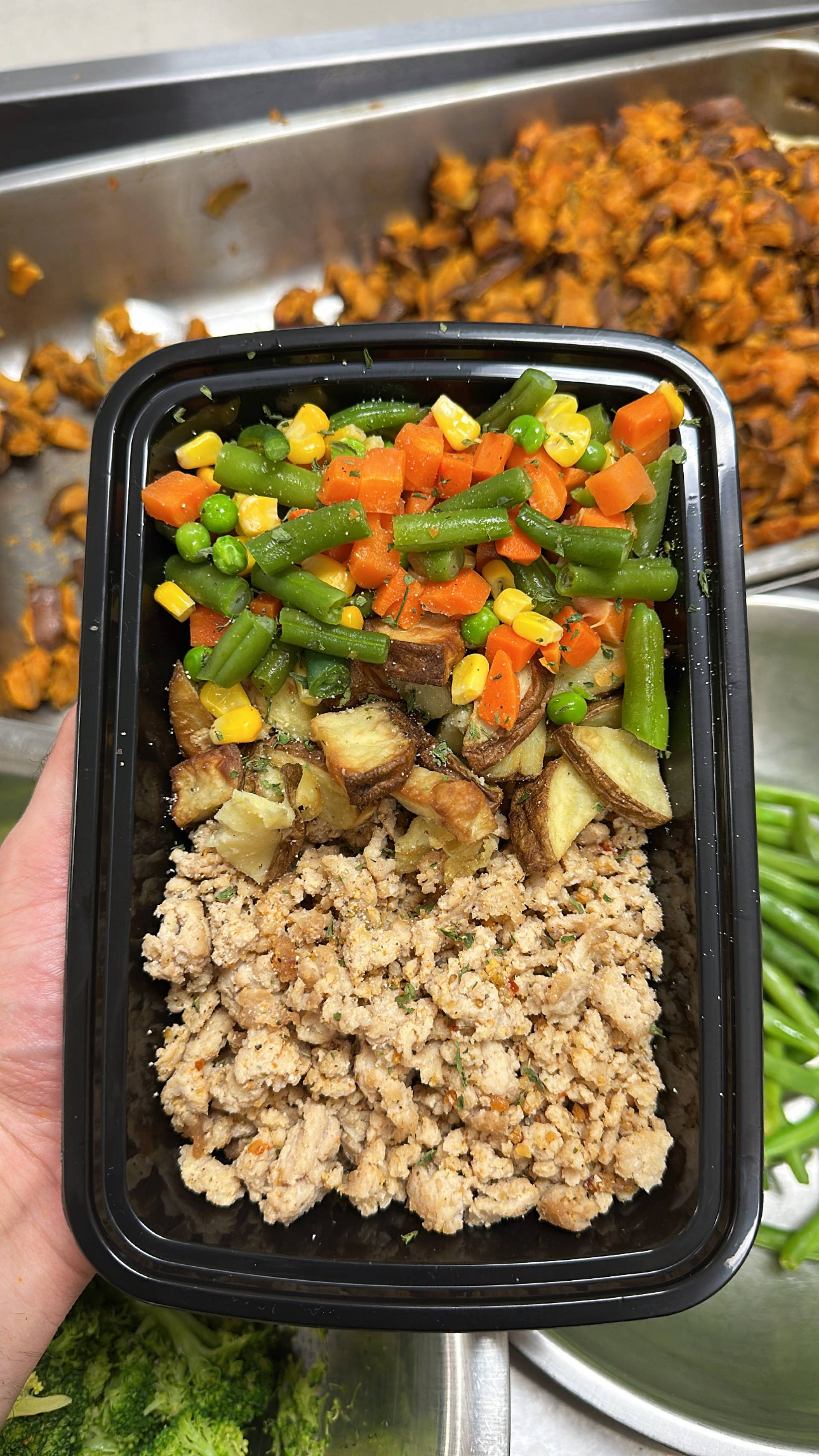 Ground Chicken + White Potato + Mixed Veg