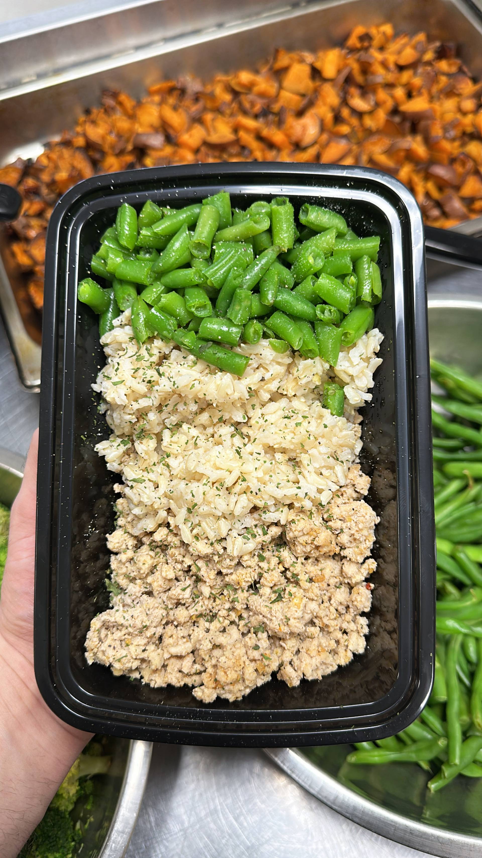 Ground Chicken + Rice ( Brown ) + Green Beans